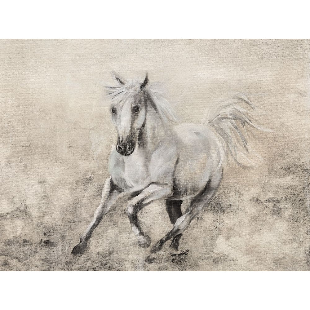 Majestic Stallion II Poster Print by Donna Brooks-VARPDX41857 Image 1