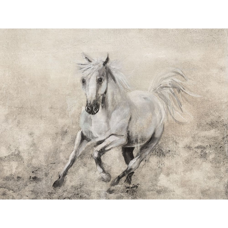 Majestic Stallion II Poster Print by Donna Brooks-VARPDX41857 Image 1