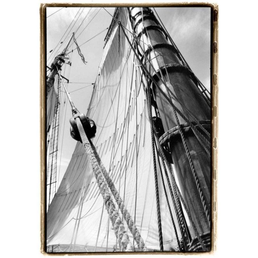 Set Sail III Poster Print - Laura DeNardo-VARPDX41876D Image 1