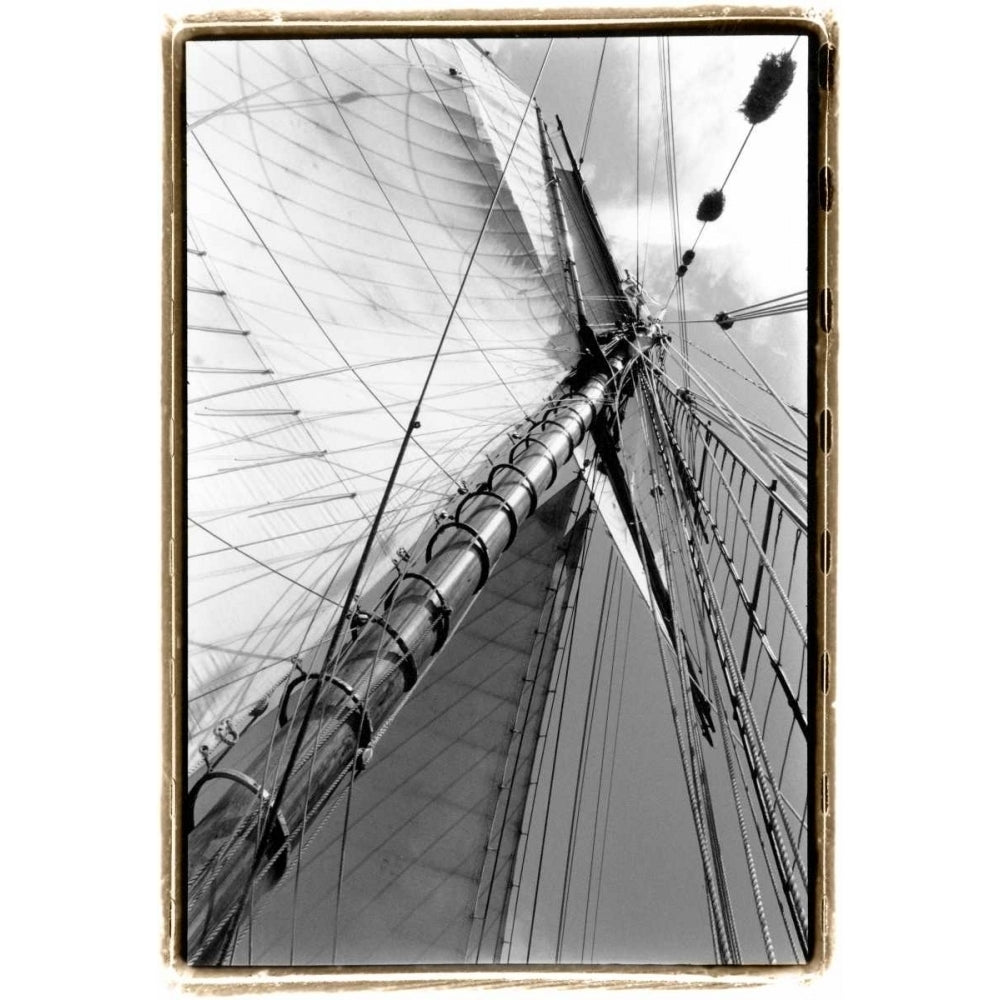 Set Sail II Poster Print - Laura DeNardo-VARPDX41875D Image 1