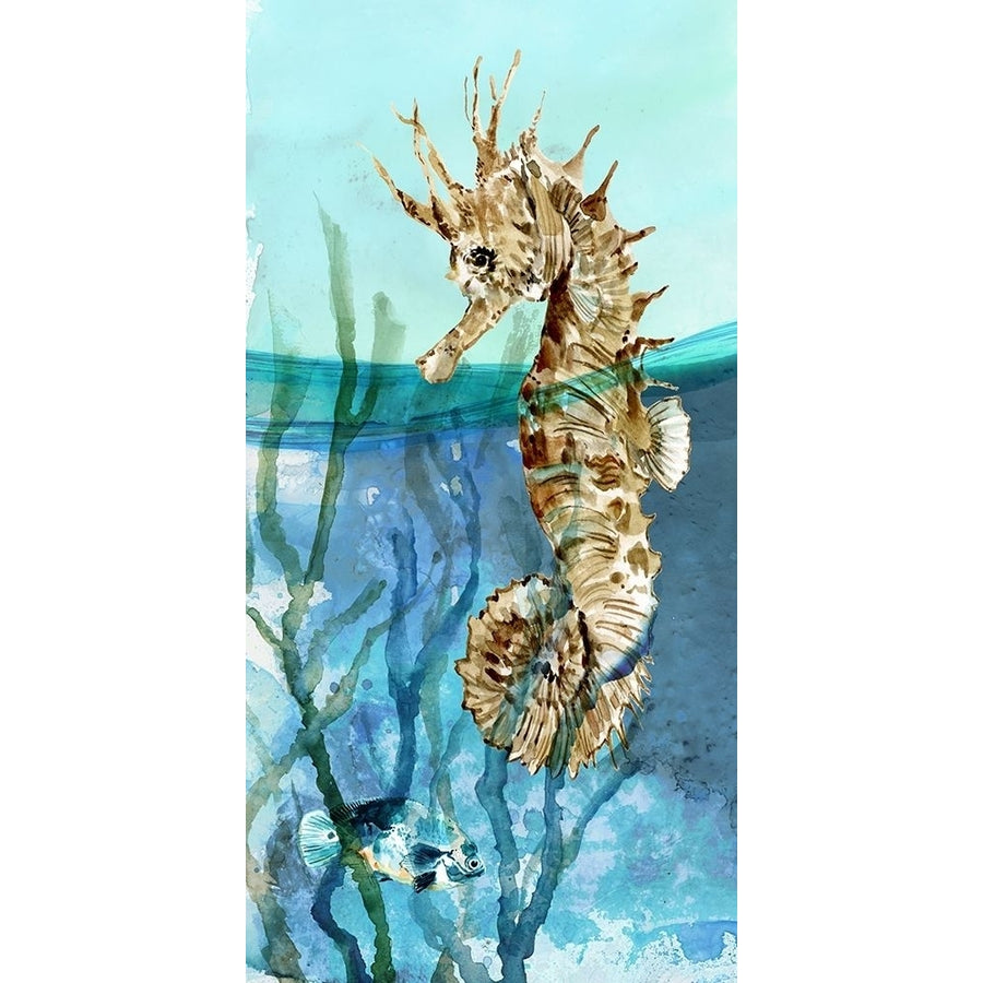 Delray Seahorse II Poster Print by Carol Robinson-VARPDX41878 Image 1