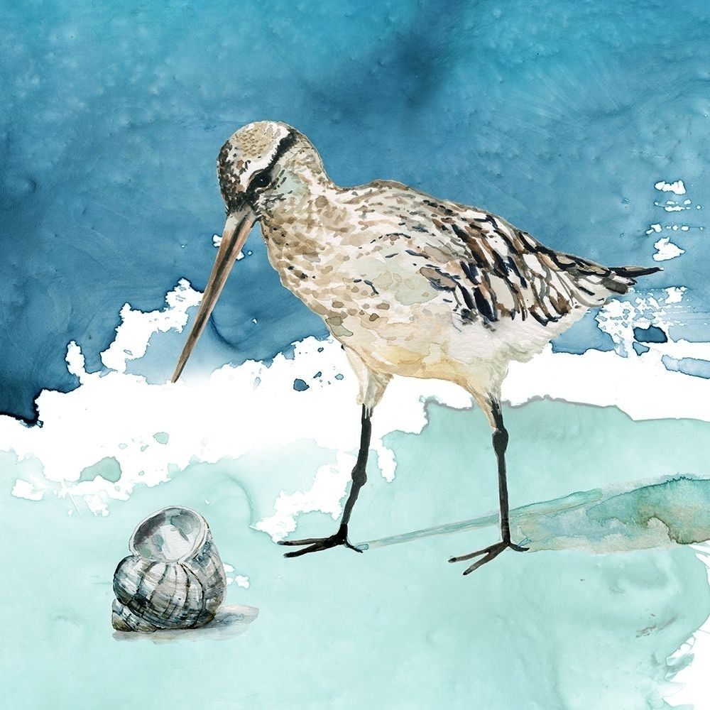 Delray Sandpiper II Poster Print by Carol Robinson-VARPDX41882 Image 1