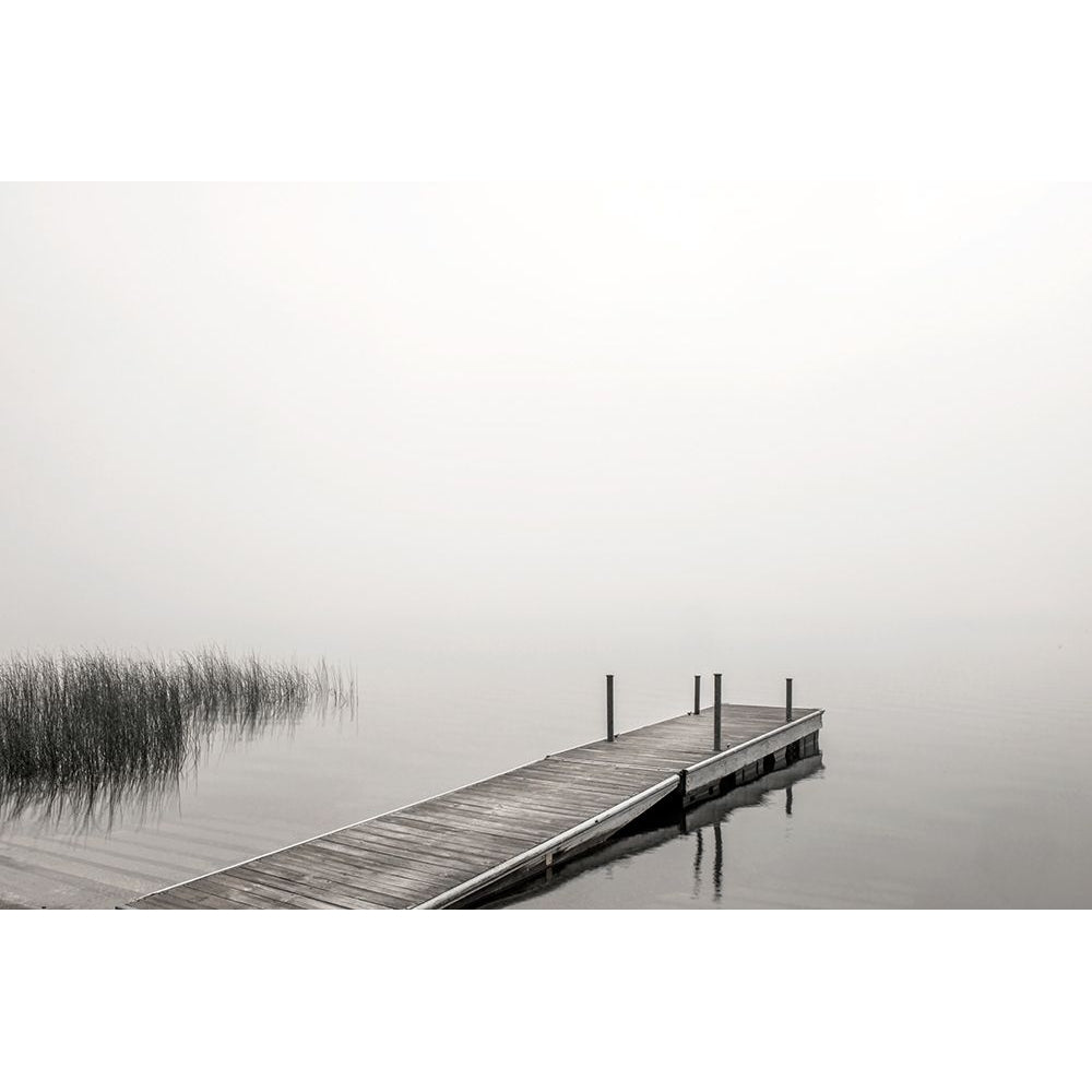 Morning Mist Poster Print by Peter Hawkins-VARPDX41912 Image 1