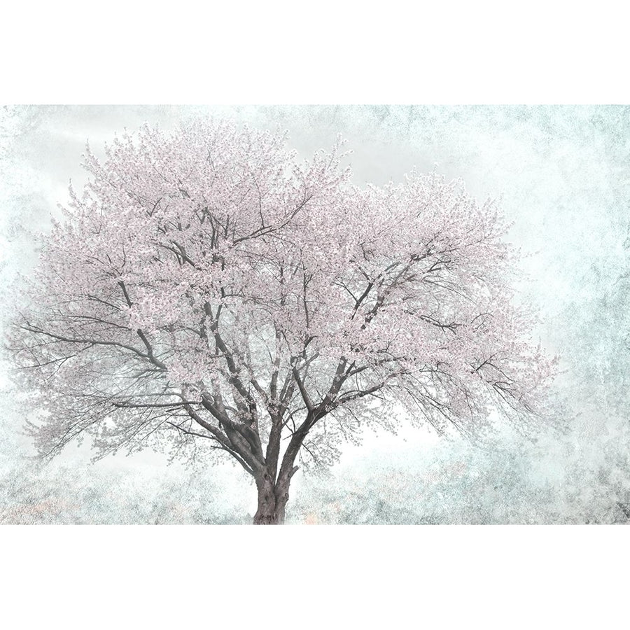 A Feel of Spring I Poster Print by Irene Weisz-VARPDX41914 Image 1