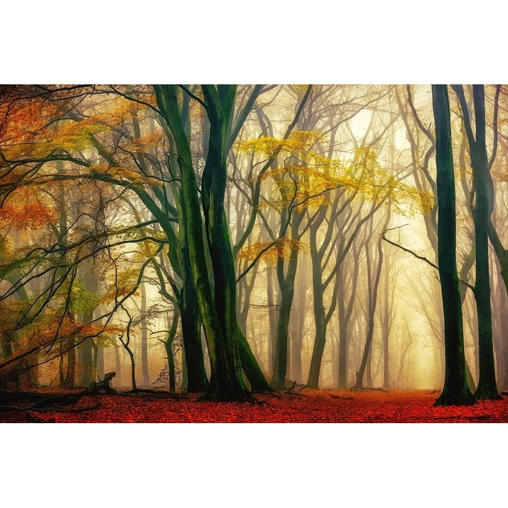 In Love with Fall Poster Print by Lars Van de Goor-VARPDX41930 Image 1