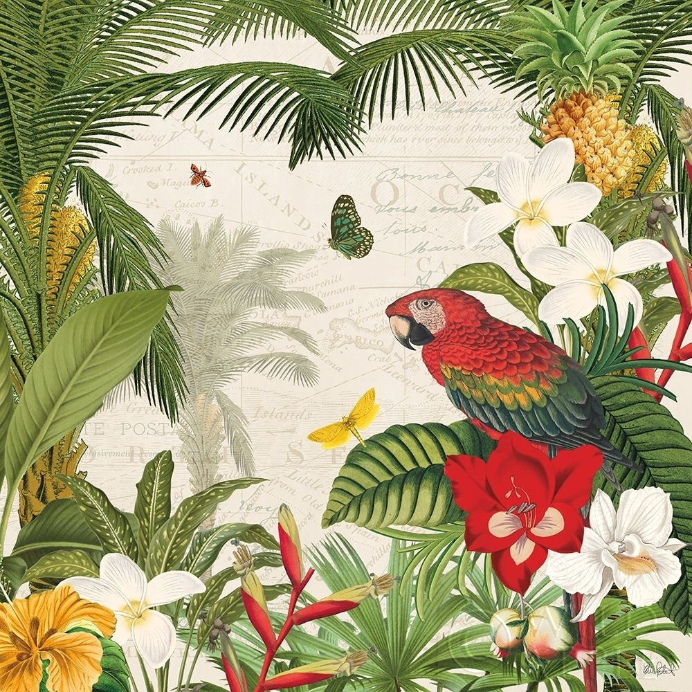 Parrot Paradise III Poster Print by Katie Pertiet-VARPDX42062 Image 1