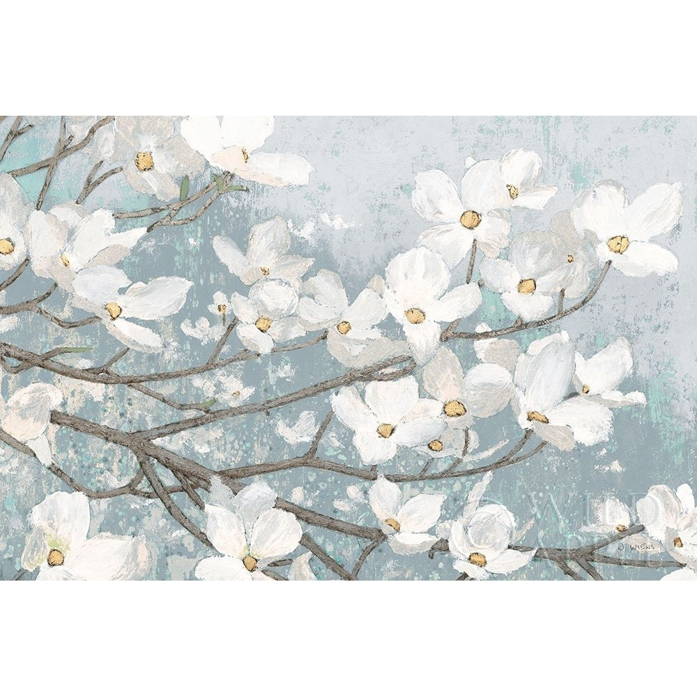 Dogwood Blossoms II Blue Gray Crop Poster Print by James Wiens-VARPDX42233 Image 1