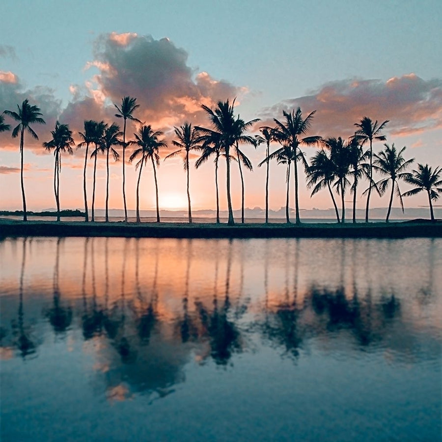 Big Island Palms Poster Print by Charles Gurche-VARPDX42262 Image 1