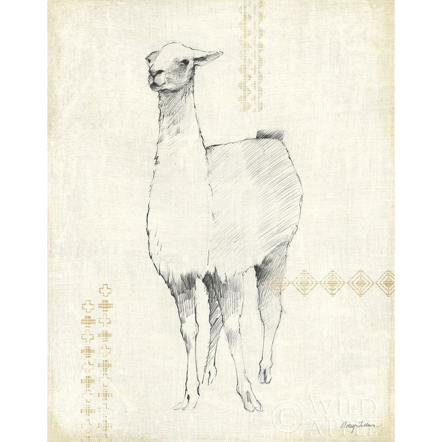 Llama Land XII Poster Print by Avery Tillmon-VARPDX42278 Image 1