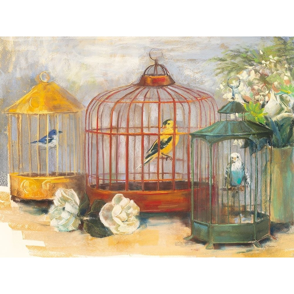 Birdcage Trio Poster Print - Carol Rowan-VARPDX42337 Image 1