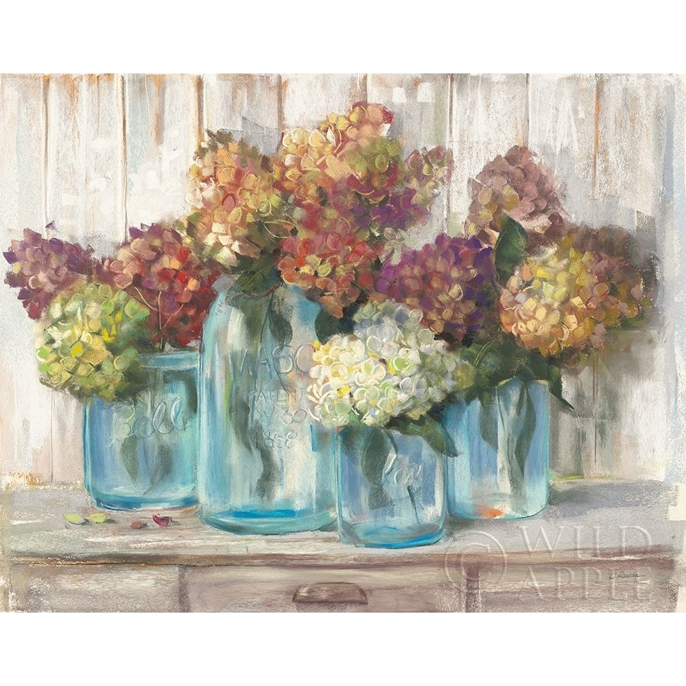 Hydrangeas in Glass Jars White Wood Poster Print by Carol Rowan-VARPDX42482 Image 1