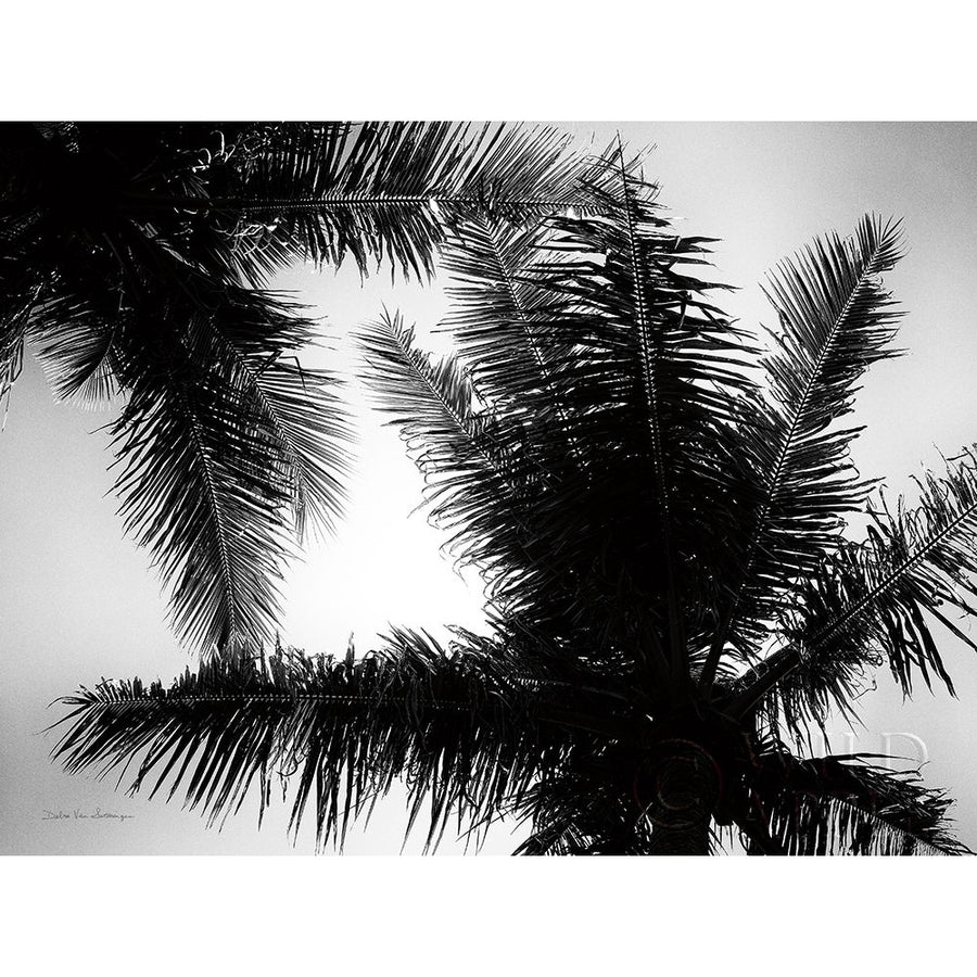 Palm Tree Looking Up I Poster Print by Debra Van Swearingen-VARPDX42494 Image 1