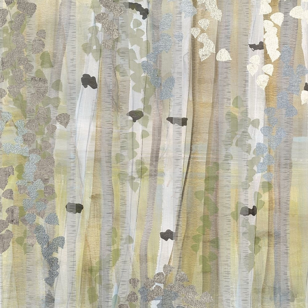 Spring Birch Grove I Poster Print by Susan Jill-VARPDX42522 Image 1