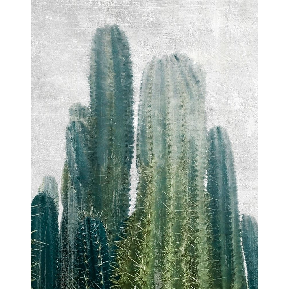 Aruba Cacti Poster Print by Natalie Carpentieri-VARPDX42534 Image 1