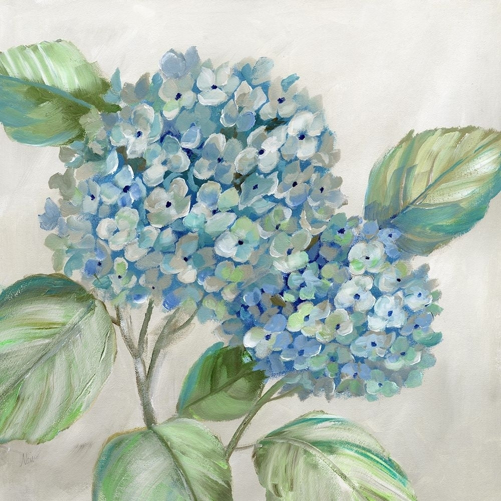 Hydrangea Beauty I Poster Print by Nan Nan-VARPDX42573 Image 1