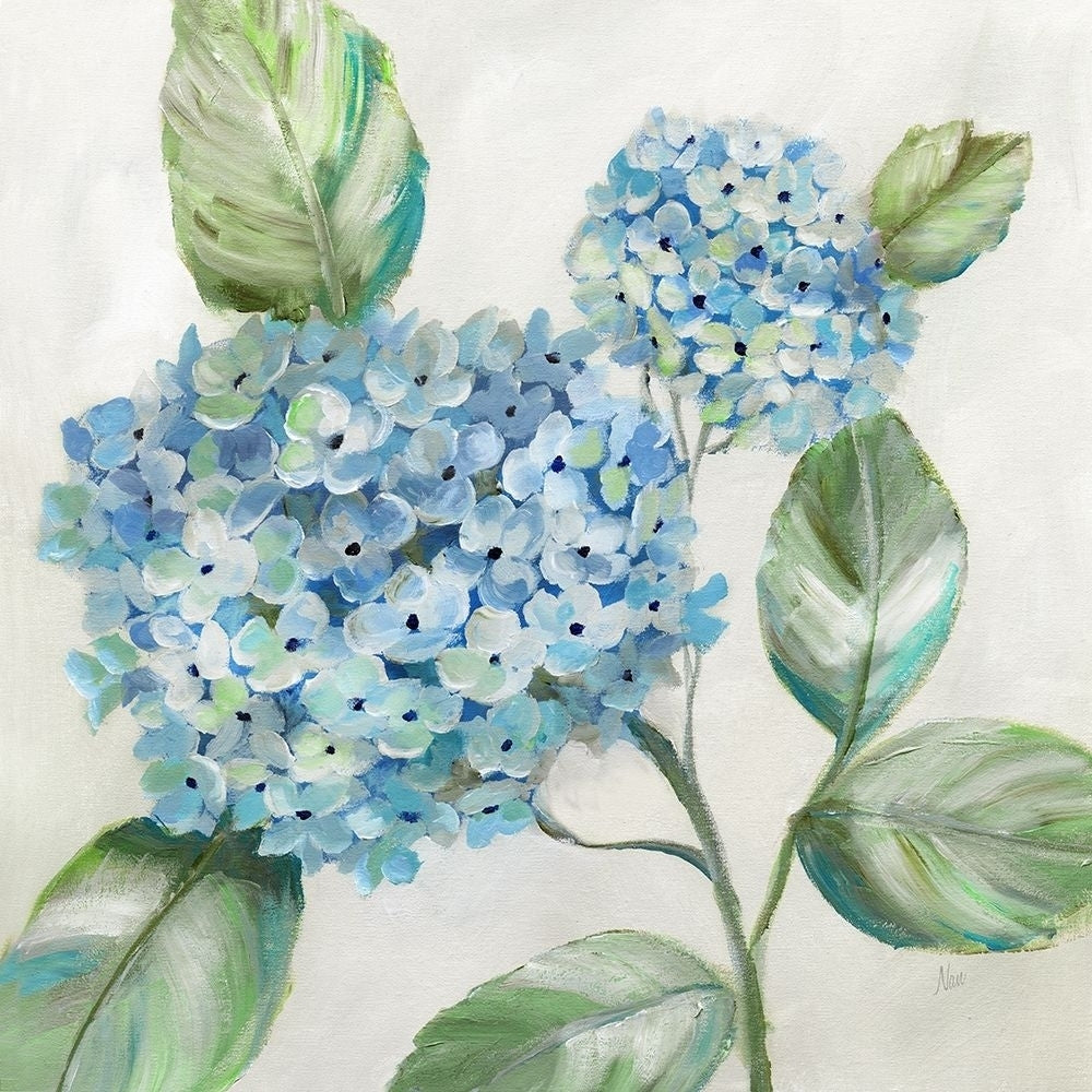 Hydrangea Beauty II Poster Print by Nan Nan-VARPDX42574 Image 1