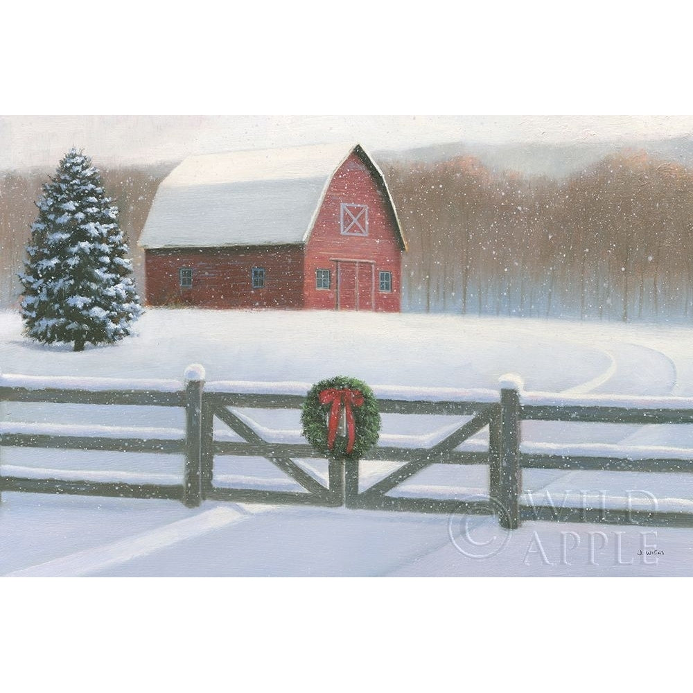 Christmas Affinity VI Poster Print by James Wiens-VARPDX42602 Image 1