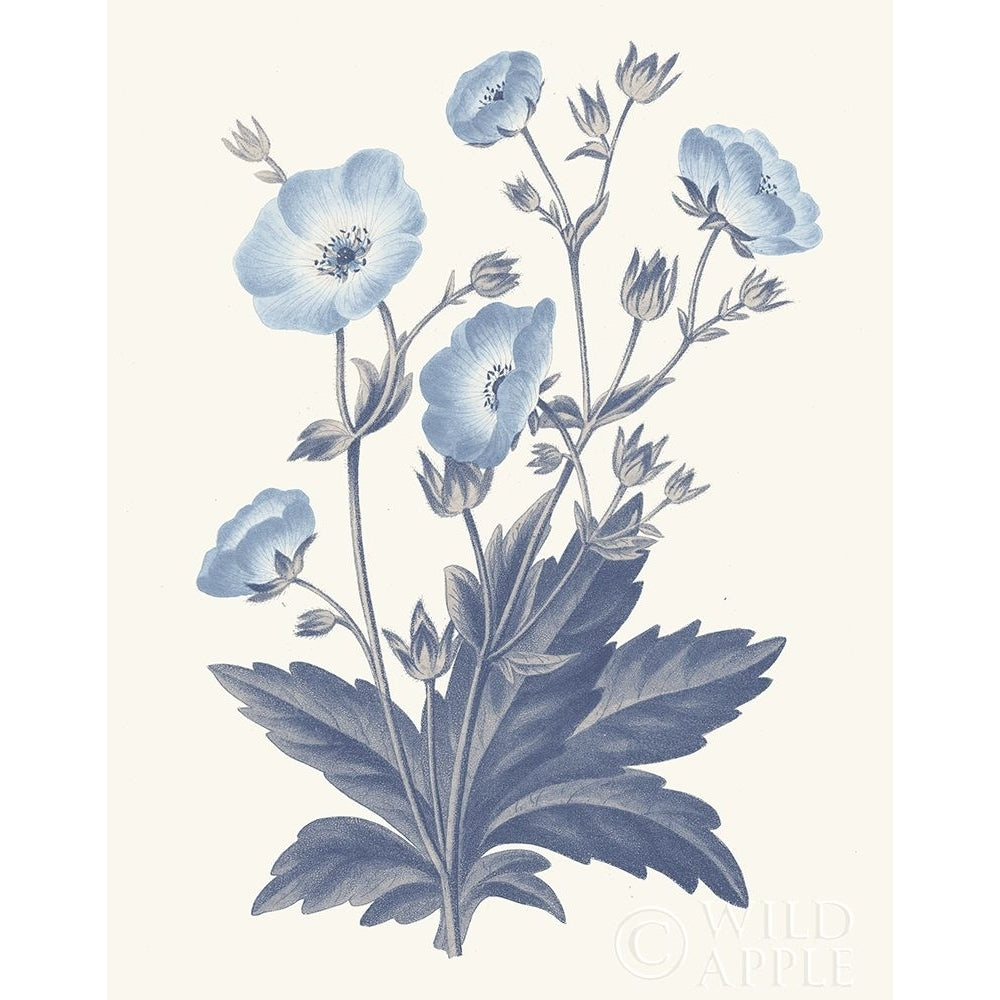 Blue Botanical VI Poster Print by Wild Apple Portfolio-VARPDX42745 Image 1