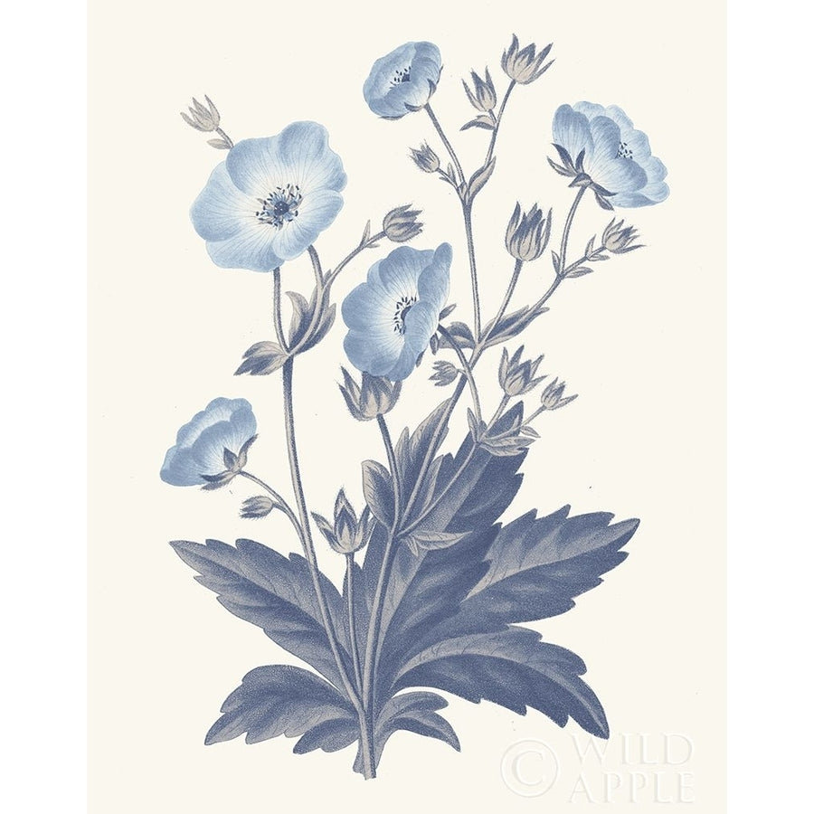 Blue Botanical VI Poster Print by Wild Apple Portfolio-VARPDX42745 Image 1