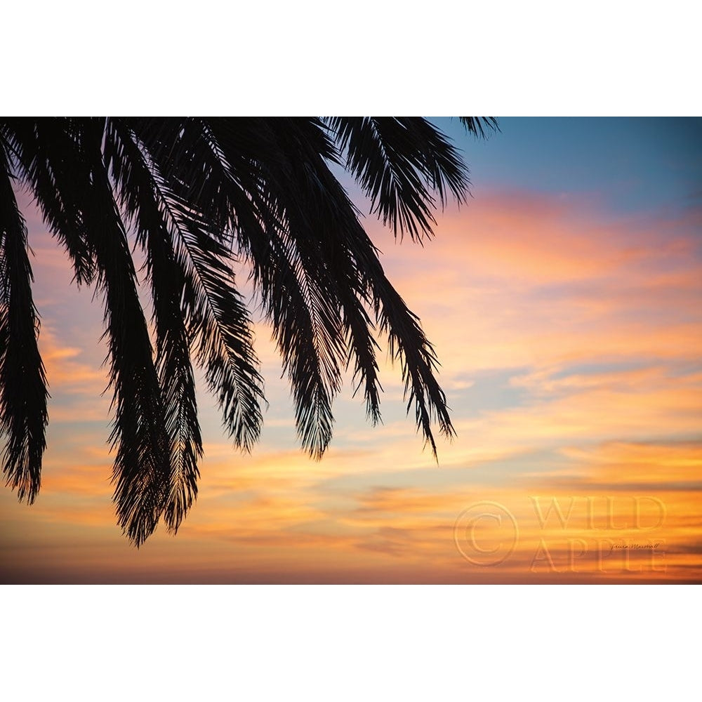 Sunset Palms I Poster Print by Laura Marshall-VARPDX42851 Image 1