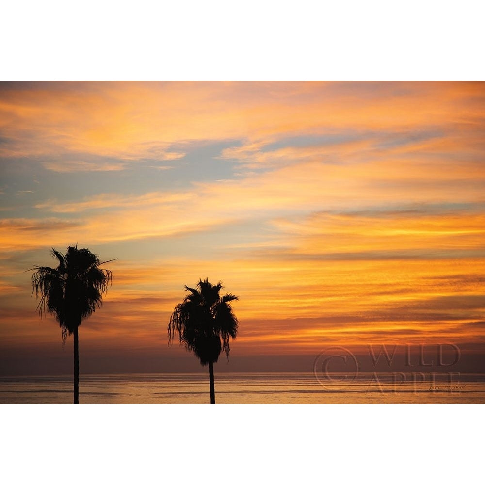 Sunset Palms III Poster Print by Laura Marshall-VARPDX42853 Image 1