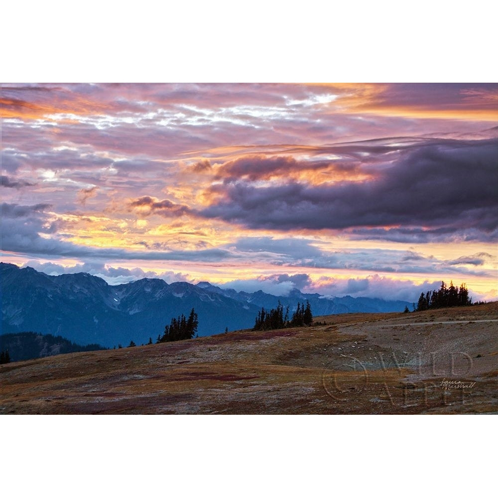 September Skies I Poster Print by Laura Marshall-VARPDX42979 Image 1