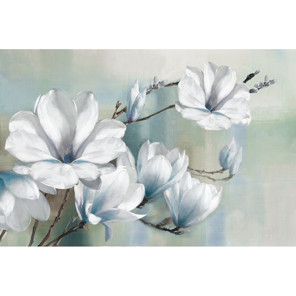 Spring Magnolias Poster Print by Rogier Daniels-VARPDX43065 Image 1