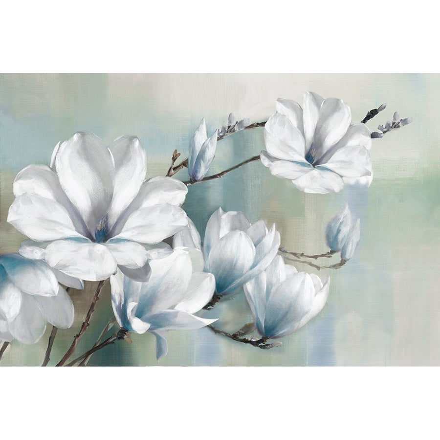 Spring Magnolias Poster Print by Rogier Daniels-VARPDX43065 Image 1