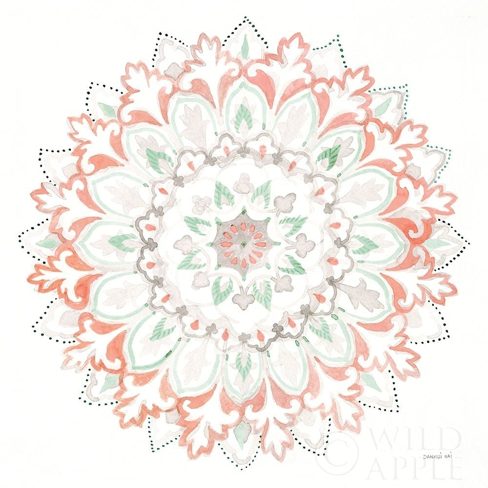 Mandala Delight II Poster Print by Danhui Nai-VARPDX43080 Image 1