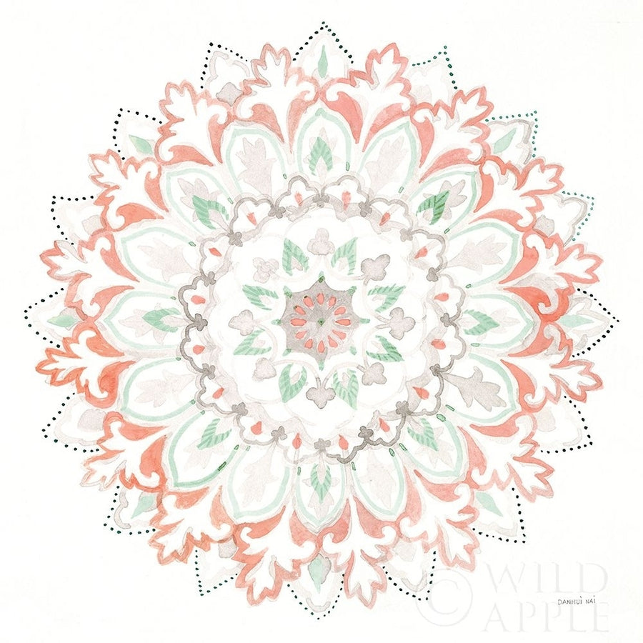 Mandala Delight II Poster Print by Danhui Nai-VARPDX43080 Image 1