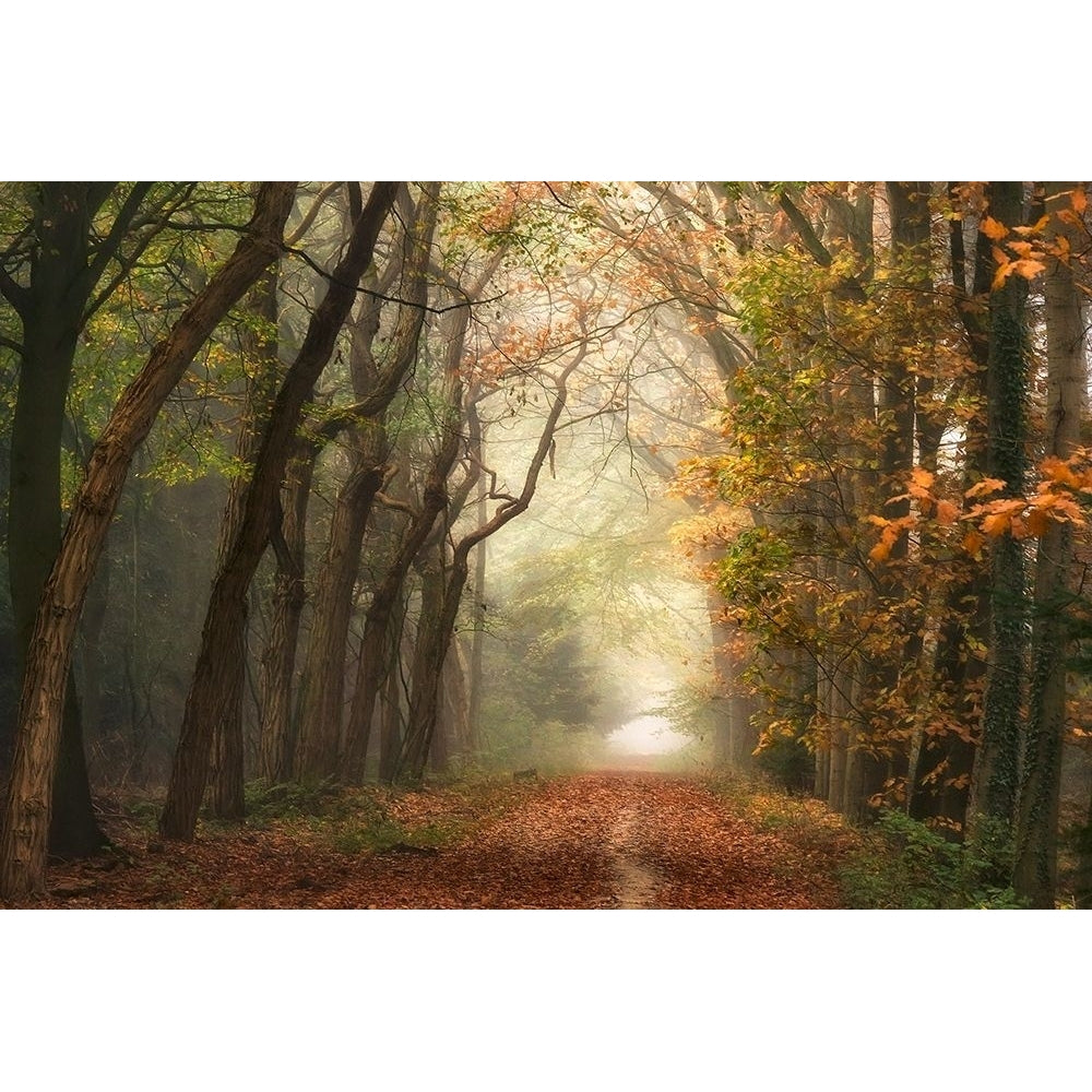 Path of Dreams by Lars Van de Goor-VARPDX43197 Image 1