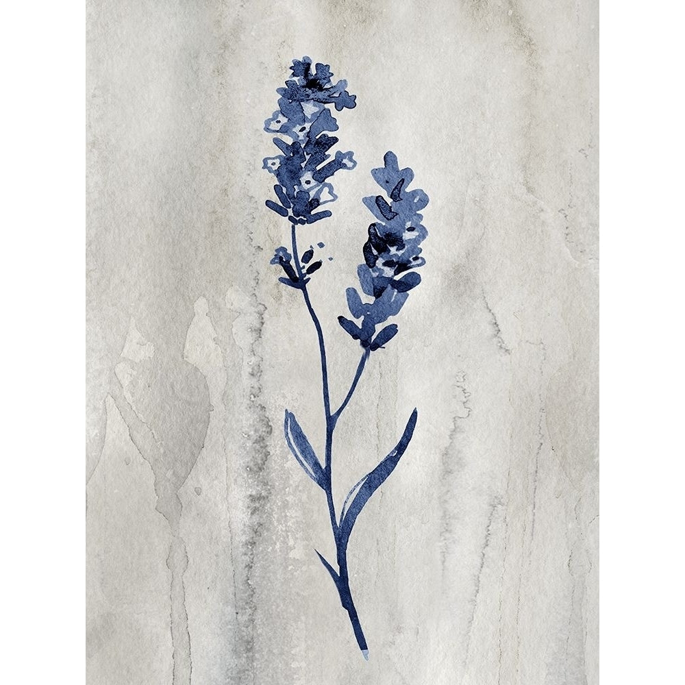 Indigo Botanical II by Conrad Knutsen-VARPDX43306 Image 1