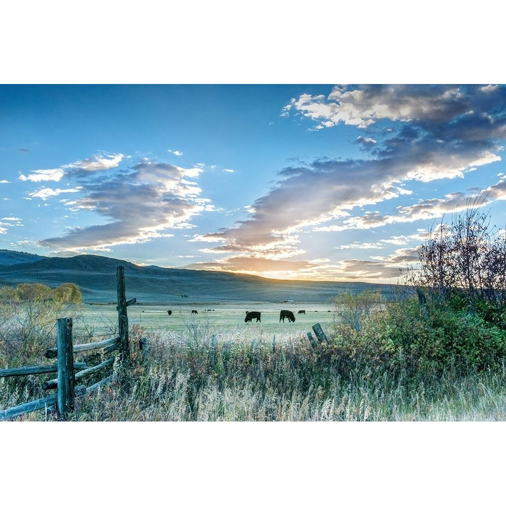 Ranch Sunrise Poster Print - Danita Delimont-VARPDX43322 Image 1