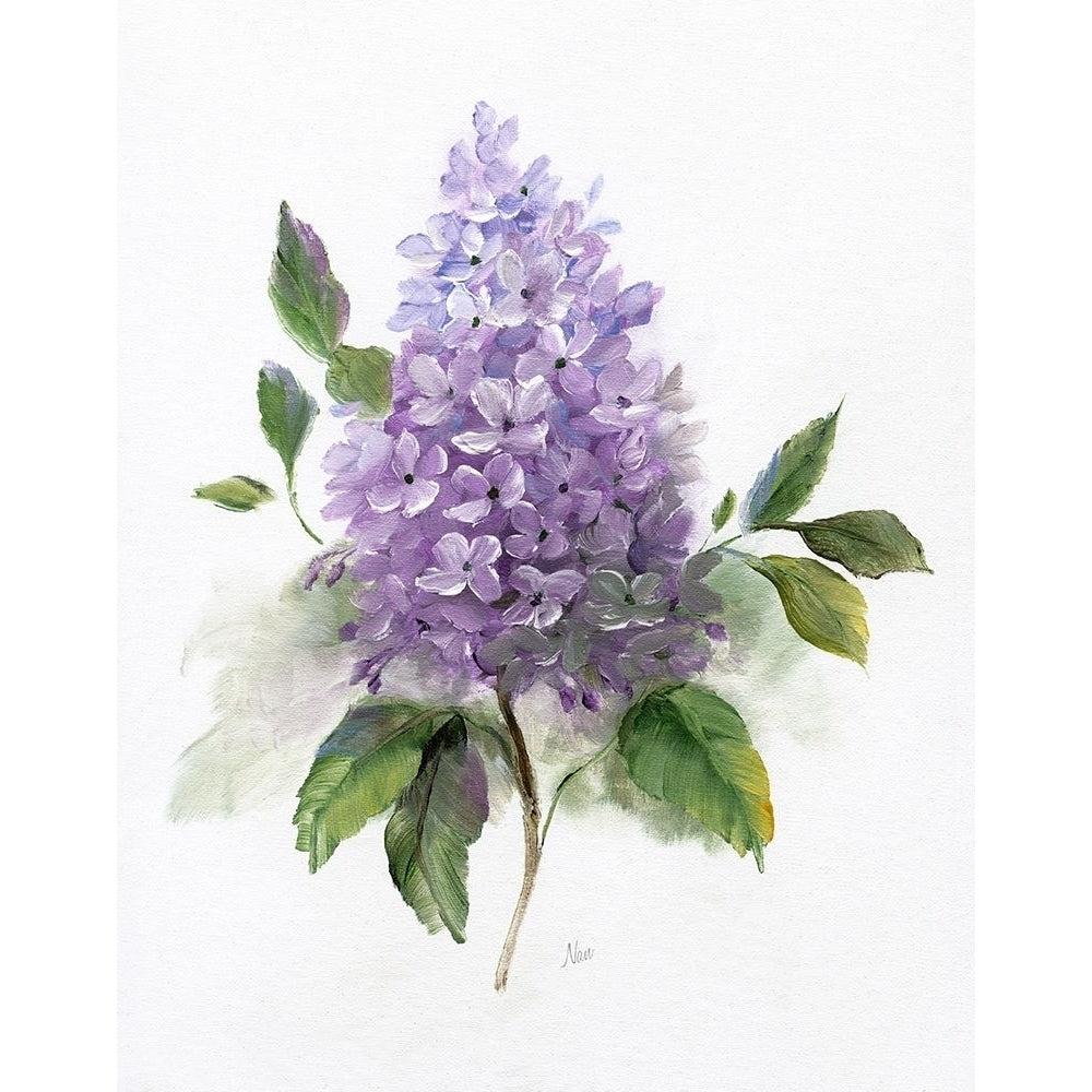 Lilac Romance I Poster Print by Nan Nan-VARPDX43373 Image 1