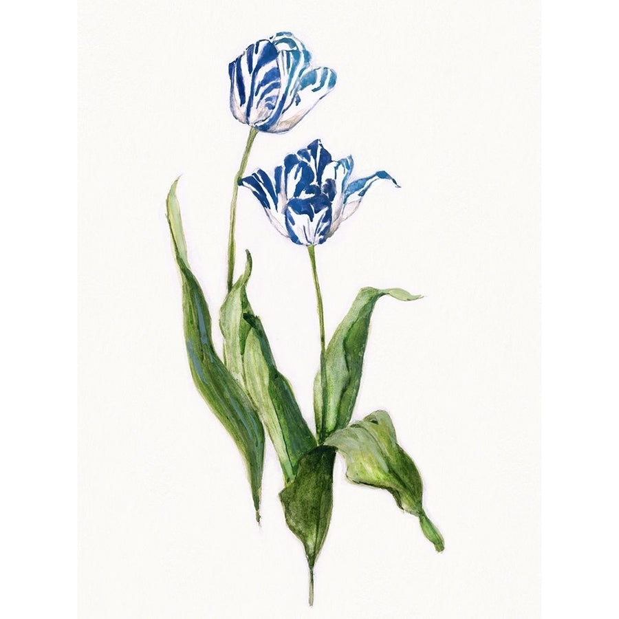 Blue Lively Botanical II by Sally Swatland-VARPDX43443 Image 1