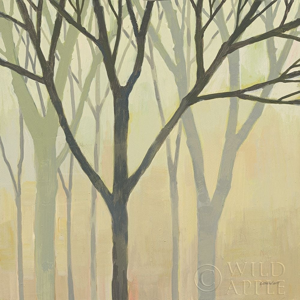 Spring Trees II Poster Print by Kathrine Lovell-VARPDX43457 Image 1