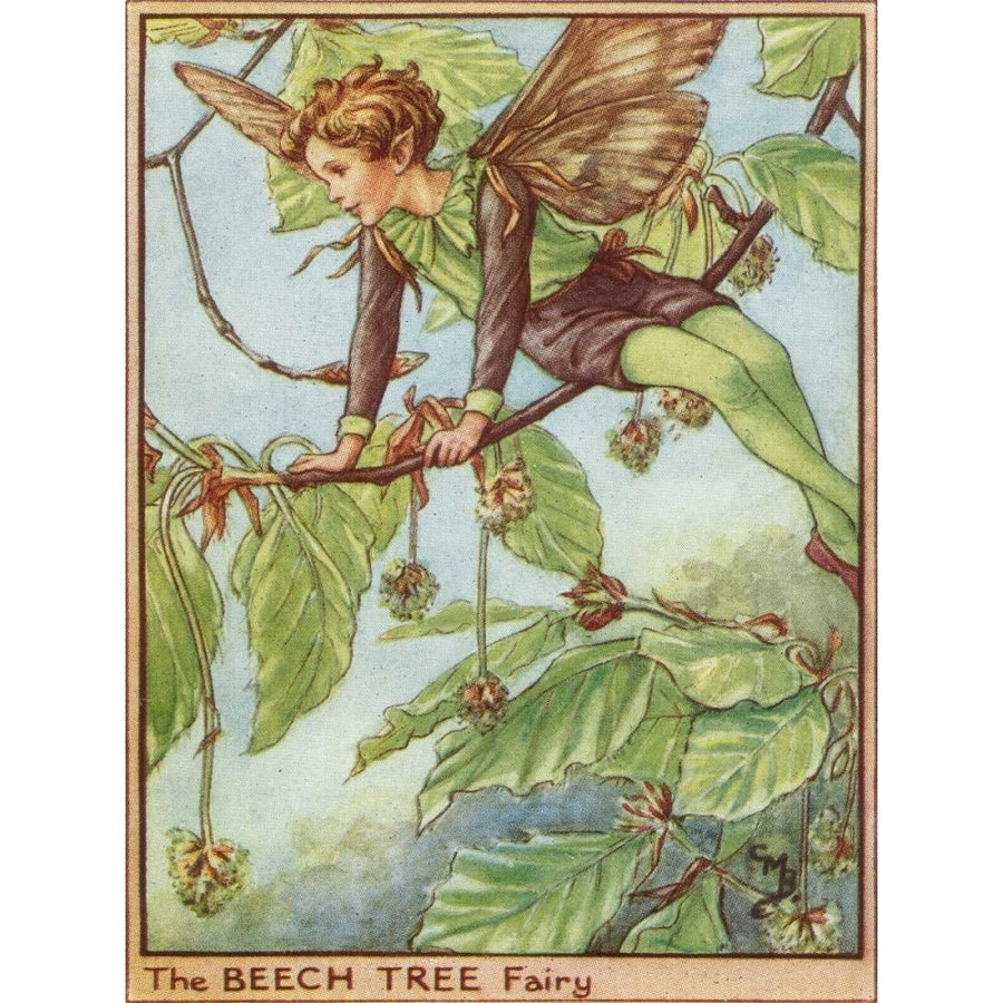 The Beech Tree Fairy Poster Print - Studio Vision-VARPDX43475D Image 1