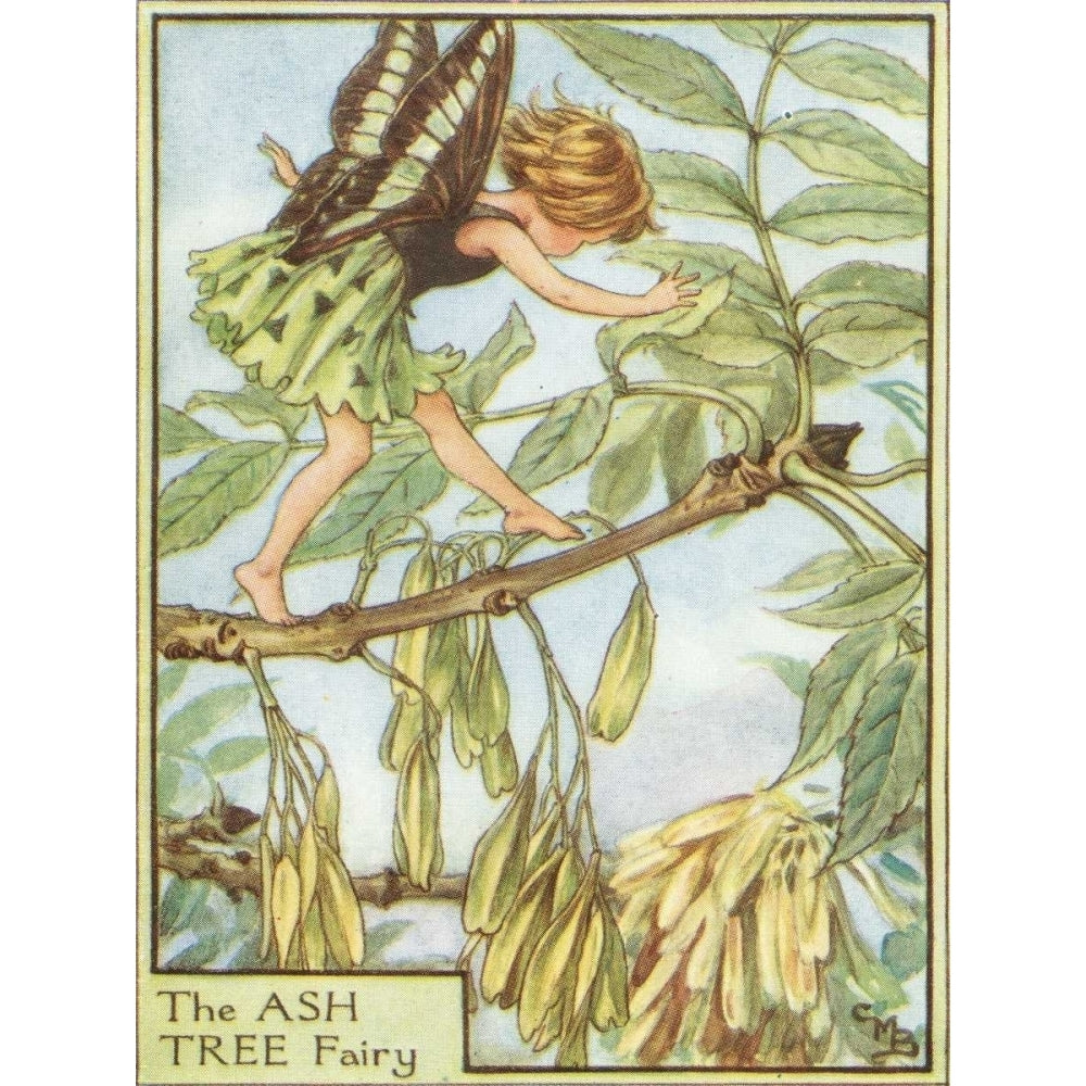 The Ash Tree Fairy Poster Print - Studio Vision-VARPDX43474D Image 1