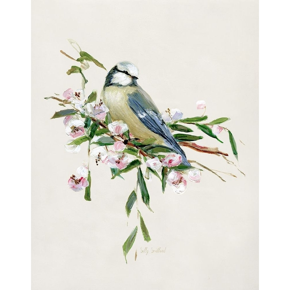 Spring Song Blue Bird I by Sally Swatland-VARPDX43500 Image 1