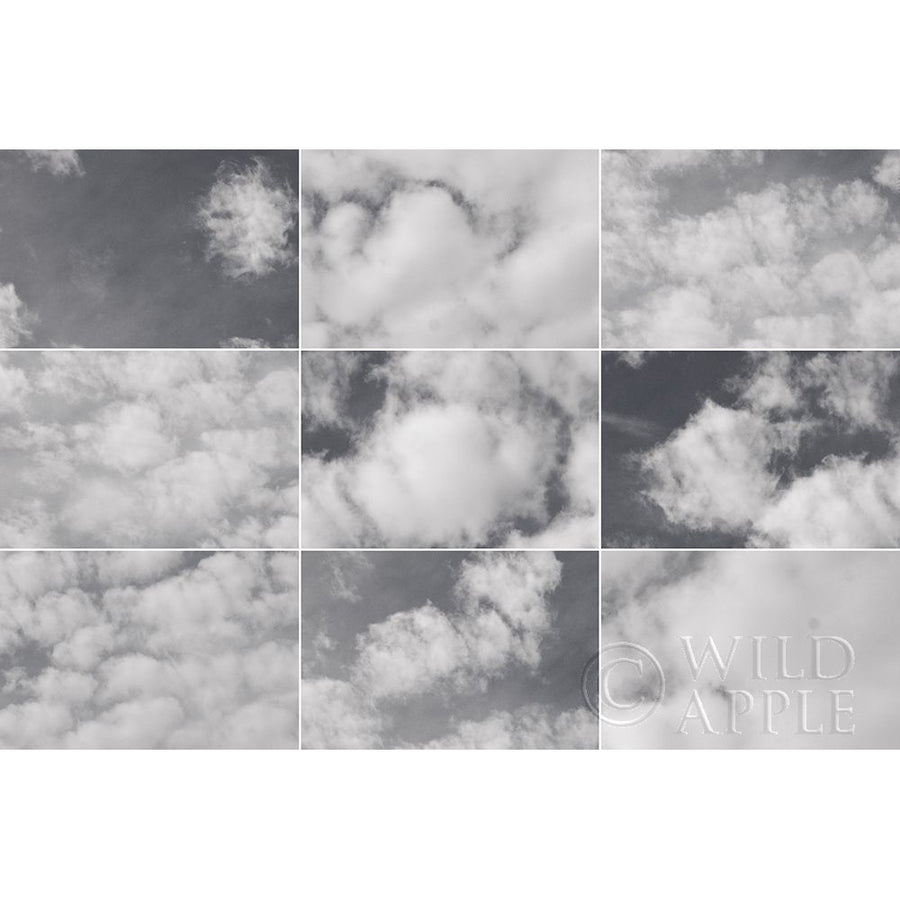 In the Clouds Collage Poster Print by Wild Apple Portfolio-VARPDX43545 Image 1