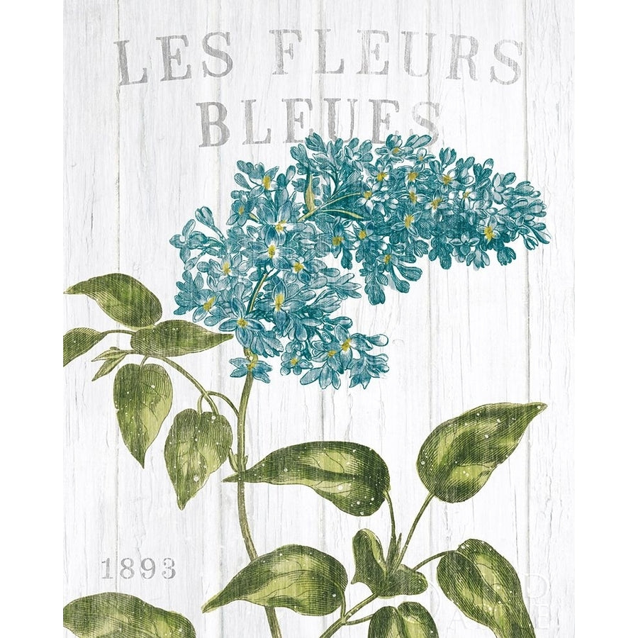 Fleuriste Paris V Poster Print by Wild Apple Portfolio-VARPDX43578 Image 1