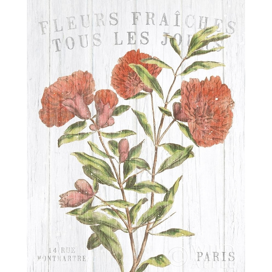 Fleuriste Paris III Poster Print by Wild Apple Portfolio-VARPDX43576 Image 1