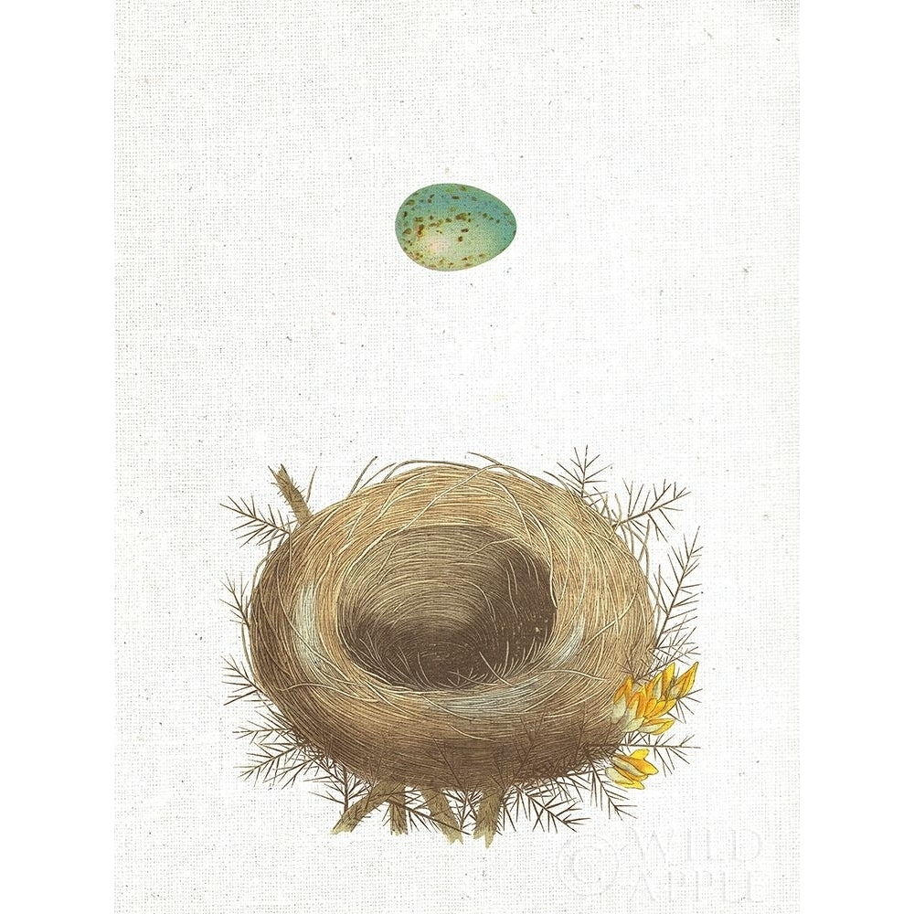 Spring Nest I Poster Print by Wild Apple Portfolio-VARPDX43806 Image 1