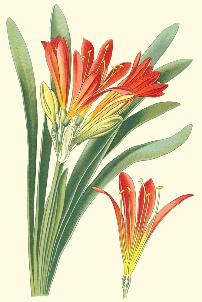 Striking Lilies III Poster Print - Edward Step-VARPDX43865D Image 1