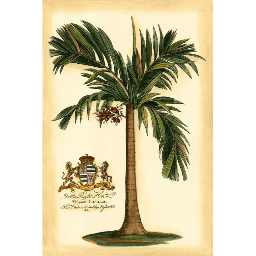 British Colonial Palm I Poster Print - Studio Vision-VARPDX43899D Image 1