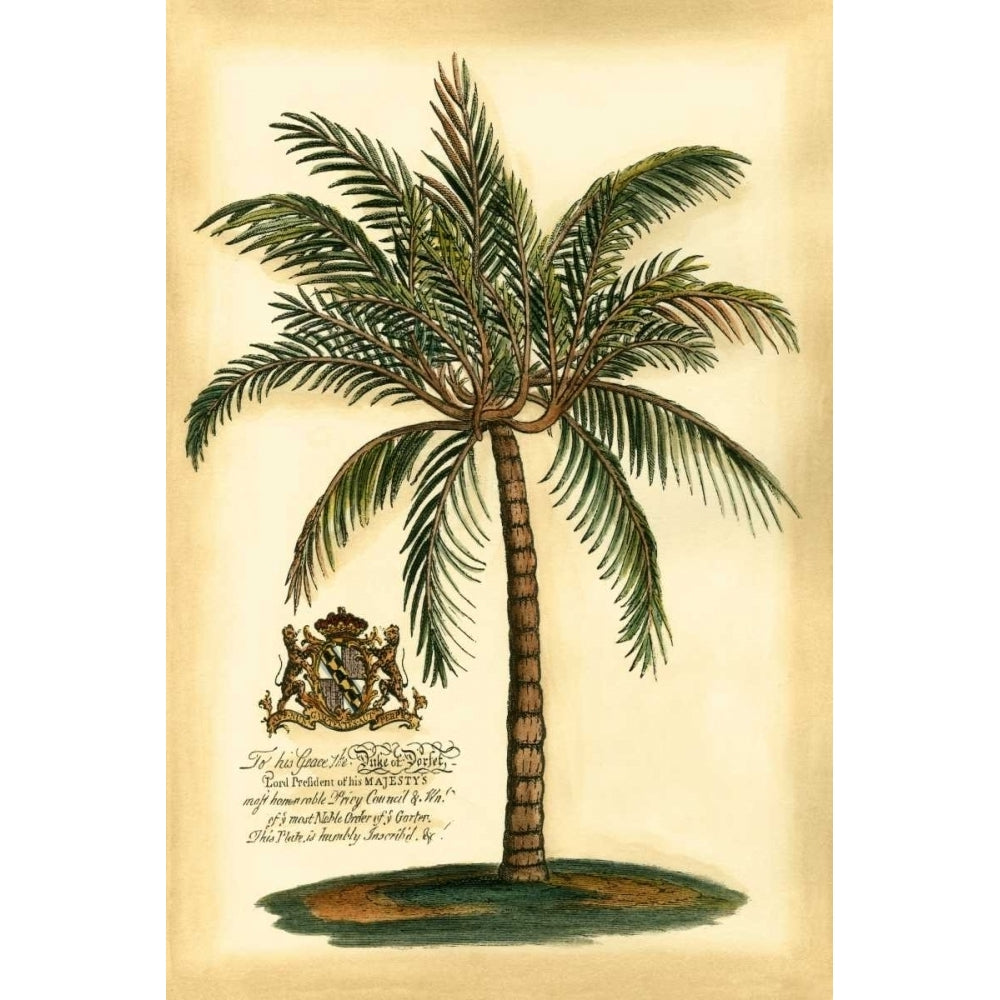 British Colonial Palm III Poster Print - Studio Vision-VARPDX43901D Image 1