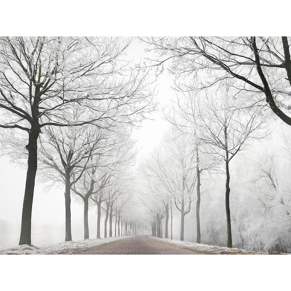 The Last Winter Poster Print by Lars Van de Goor-VARPDX43927 Image 1