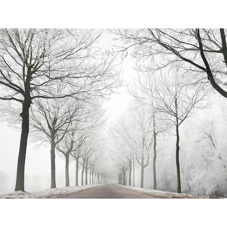 The Last Winter Poster Print by Lars Van de Goor-VARPDX43927 Image 1