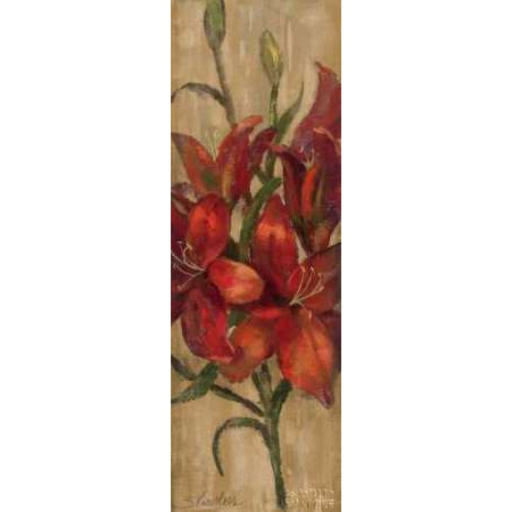 Vivid Red Lily on Gold Poster Print by Silvia Vassileva-VARPDX4403 Image 1