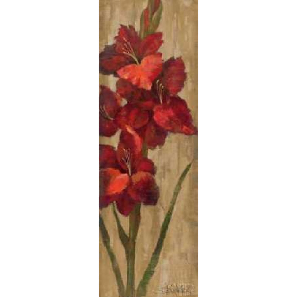 Vivid Red Gladiola on Gold Poster Print by Silvia Vassileva-VARPDX4404 Image 2